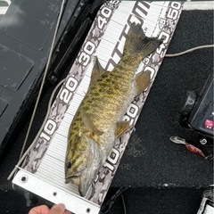 ブラックバス釣り🎣メンバー募集