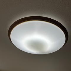 欲しい方！電気照明