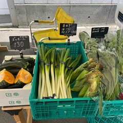 お野菜各1点