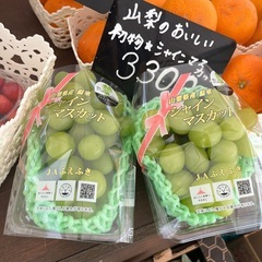 【残り1房】山梨県産高級シャインマスカット入荷しました☆