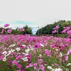 5/29(木)平日昼間にカラオケオフ会🍀大阪
