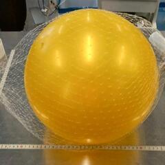 0519-205 【無料】 ボール