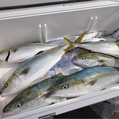 釣りに行きませんか🙌🏻🎣 
