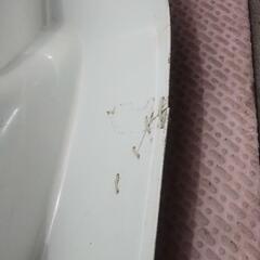HA02角目カブレッグシールドの画像