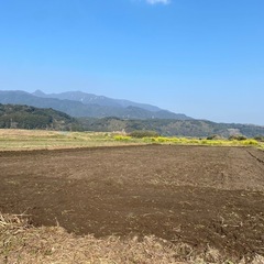 田んぼ作りませんか。鹿屋市