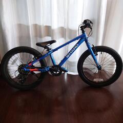 HARO 2019 FLIGHTLINE 20 PLUS 中古美品