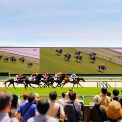 【大人の競馬コミュニティ】仲間募集‼️