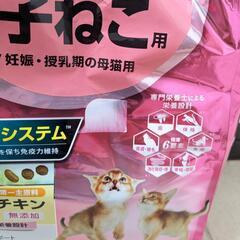 ピュリナワン 猫 キャットフードの画像