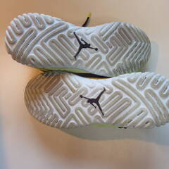 大きい靴　ナイキ　？　バスケットシューズ　？　詳細不明　サイズ不明　メーカー不明　詳細は自身で調べて下さい　動作未確認の画像