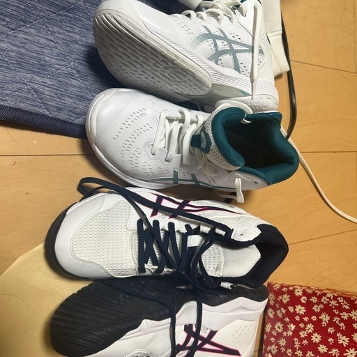 バッシュ