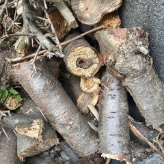 キャンプの焚き火に〜の画像