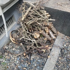 キャンプの焚き火に〜の画像
