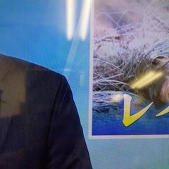 TOSHIBA REGZA 23S7 液晶テレビ 23インチ 2013 脚なし 画面のみ 通電起動確認済 B-CASカード、リモコン付 東芝 の画像