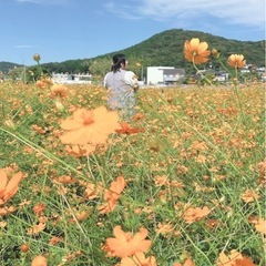 30シングル女性です