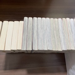 19冊　まとめ売り　微熱少女 文庫全5巻　僕達は知ってしまった 全14巻　宮坂香帆の画像