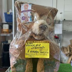 ★ジモティー割あり★遊ぶの大好き子熊のカビ－/クリーニング済みH...