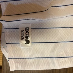 ソフトバンク鷹の祭典　まとめ売りの画像