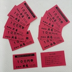 天竜 100円券
