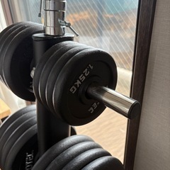 ダンベルプレート(計75kg)＋ダンベルラック＋EZバー＋シャフト2本