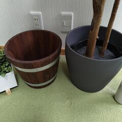 IKEA 観葉植物 鉢セットの画像