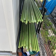 園芸用イボ付き支柱