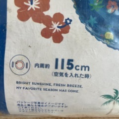 浮き輪①水色(未使用)の画像