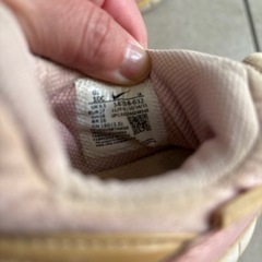 ダイナモ　NIKE スリッポン　16cmの画像