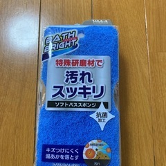 バススポンジ