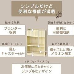 【早い者勝ち！】DORIS ドリス プランター 収納 ボックス 間仕切り パーティション キャスター付き②の画像