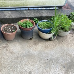 植木鉢プランター