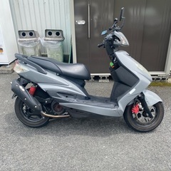 シグナスxヤマハ　