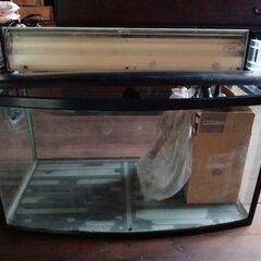 前球面水槽　約90×45