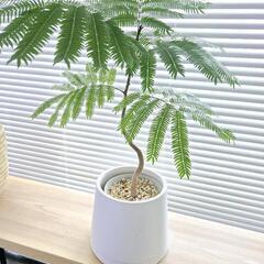 ◼️５号陶器鉢◼️鉢カバーの画像