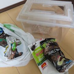 カブトムシ（クワガタムシ）昆虫飼育セット