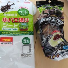 カブトムシ（クワガタムシ）昆虫飼育セットの画像