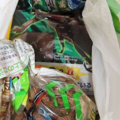 カブトムシ（クワガタムシ）昆虫飼育セットの画像