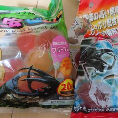 カブトムシ（クワガタムシ）昆虫飼育セットの画像