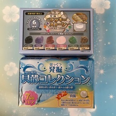 百均　発掘　貝殻　ストーン　コレクション
