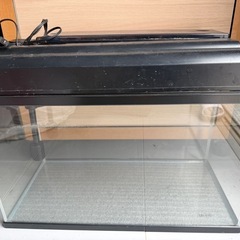 60センチ水槽セット