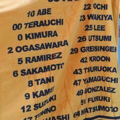 ジャイアンツ　2009年　セリーグ優勝記念巨大タオルの画像