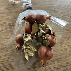 ザクロのドライフラワーの画像