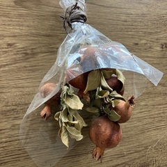 ザクロのドライフラワーの画像