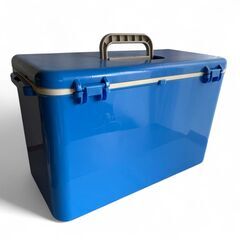 伸和 クーラーボックス 37L Shinwa 