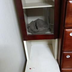 収納棚の画像