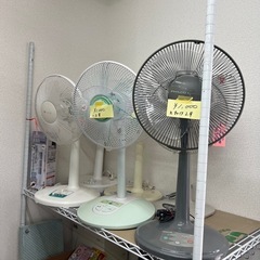 扇風機入荷しました