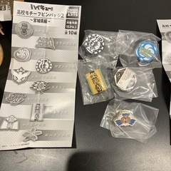 ハイキュー！！　高校モチーフピンバッジの画像