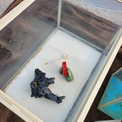 水槽5点セットの画像
