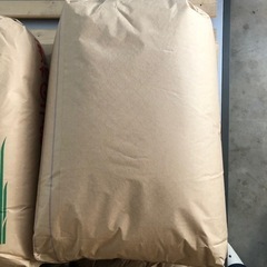 お米　令和6年産　コシヒカリ玄米　30kg