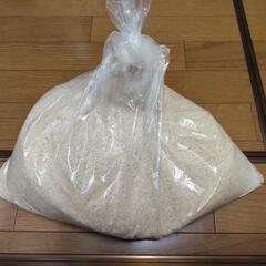 お米【イセヒカリ】4kg