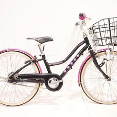 BRIDGESTONE WILD BERRY 20インチ 201...